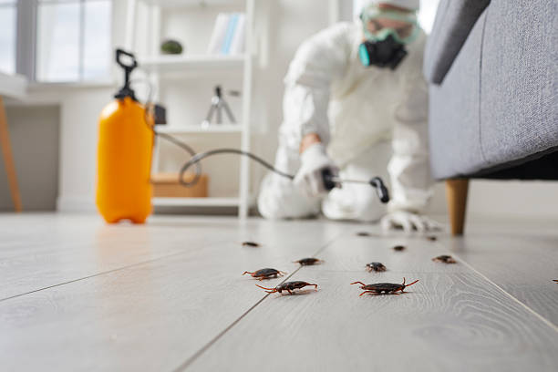 Commercial Rodent Management in Hiram